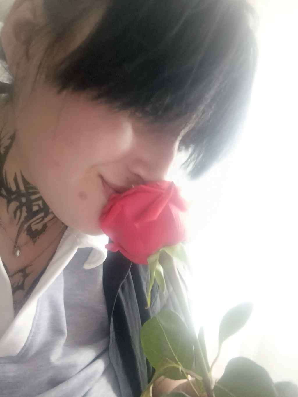 Эрика: проститутки индивидуалки в Омске